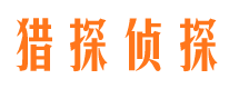 隰县市侦探